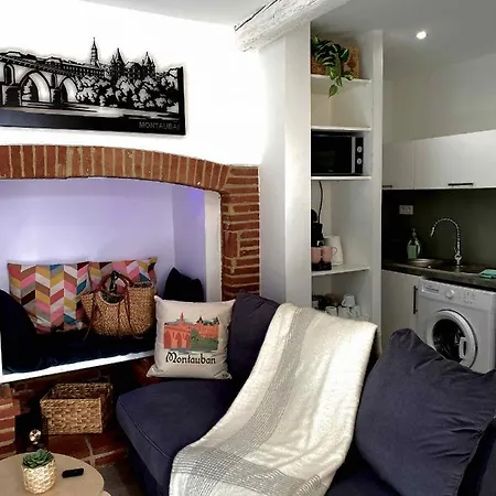 Appartement L'impasse Secrète, Accès Direct Au Parking Montauban